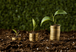 Investing offshore: wealth needs more than just local soil